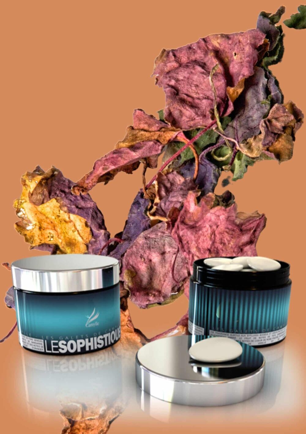 Les Galets de Camylle - Le Sophistiqué