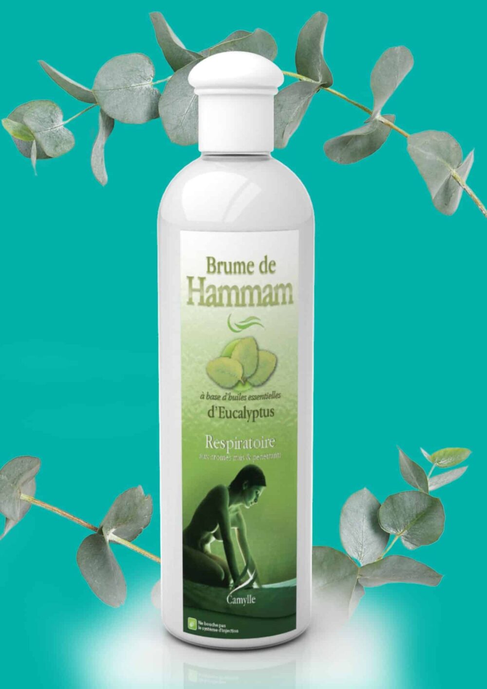 Brume de Hammam - Eucalyptus